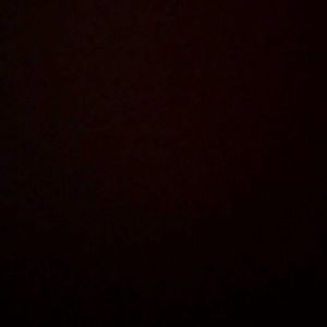 Meet your Posher, Kaylie